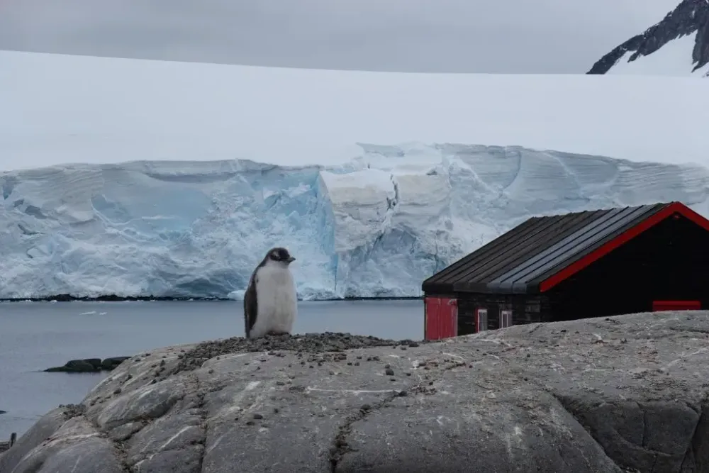 Port lockroy